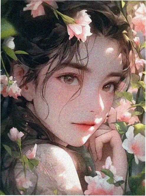 朝堂权谋女尊小说朝歌女侯封面